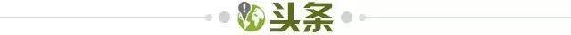 开云首页入口-【早报】荷兰葡萄牙出局！不中用的532，悲情的CR7！